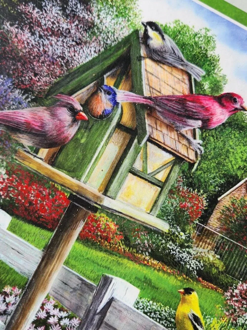 Feathers and Flowers 1000 Piece Jigsaw Puzzle Kevin Daniel Wild Birds Puzzle wit